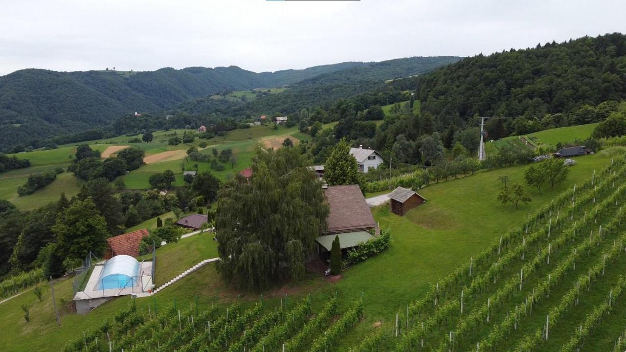 Appartement Zidanica Bundersek à Šentjanž Extérieur photo