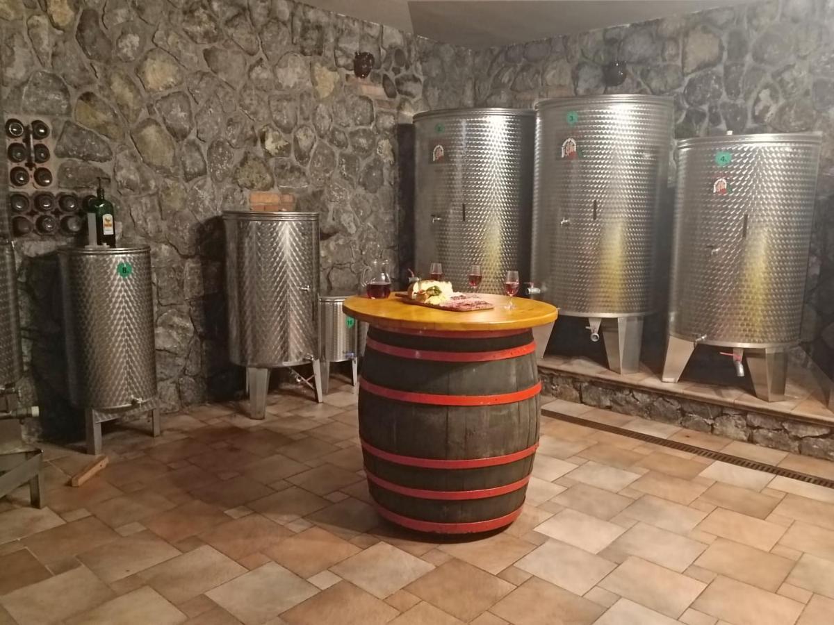 Appartement Zidanica Bundersek à Šentjanž Extérieur photo